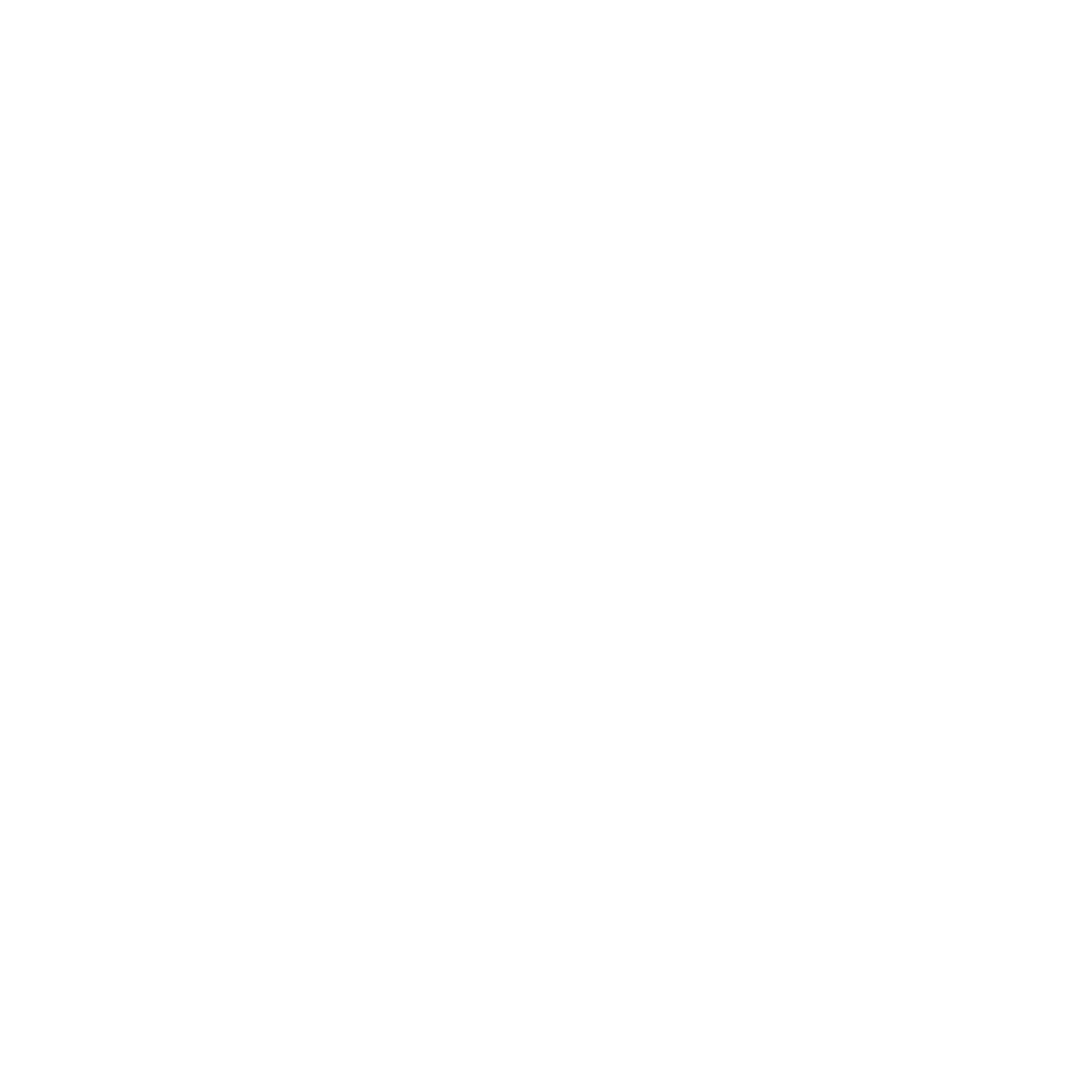 Icon Environmental & regulatory compliance