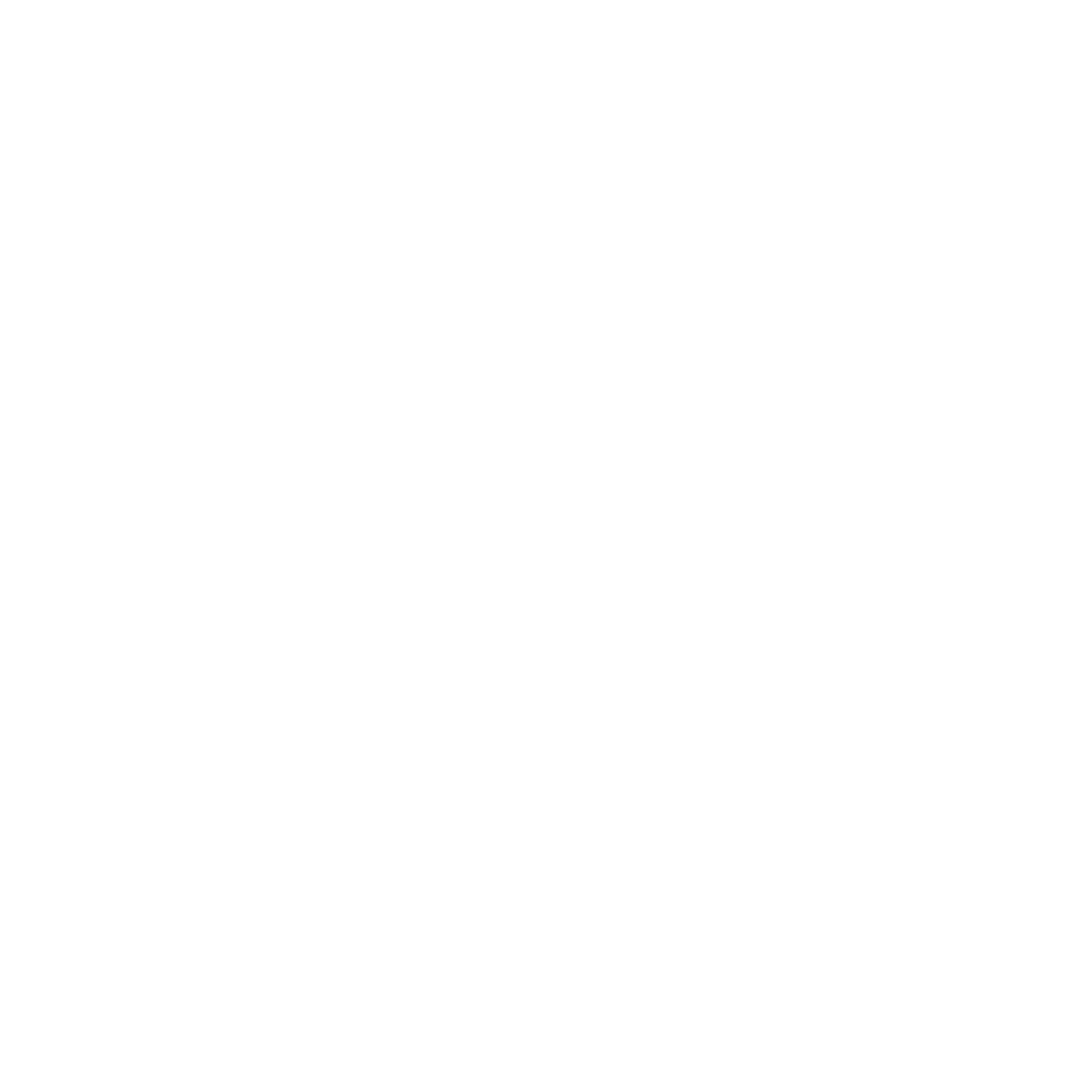 Icon Global vision and local execution